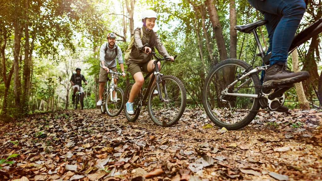 group friends ride mountain bike forest together